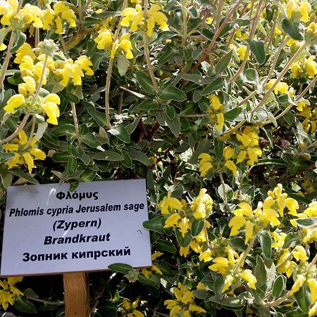 Polis Herb Garden Εξωτερικό φωτογραφία